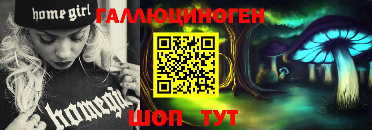 Чебоксары  Галлюциногенные грибы прущие грибы  Вход с VPN 
